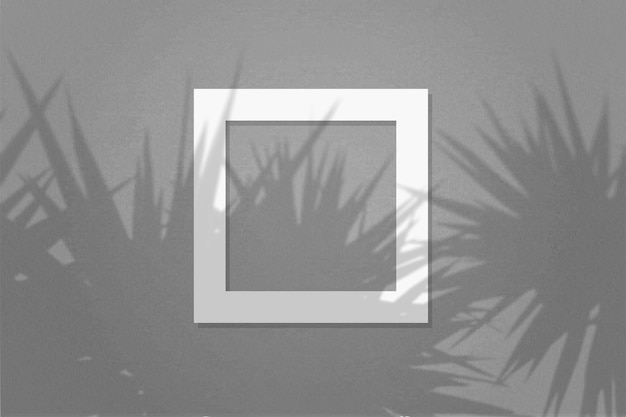 Фото Естественный свет отбрасывает тени с листьев пальмы на квадратную раму из белой текстурированной бумаги