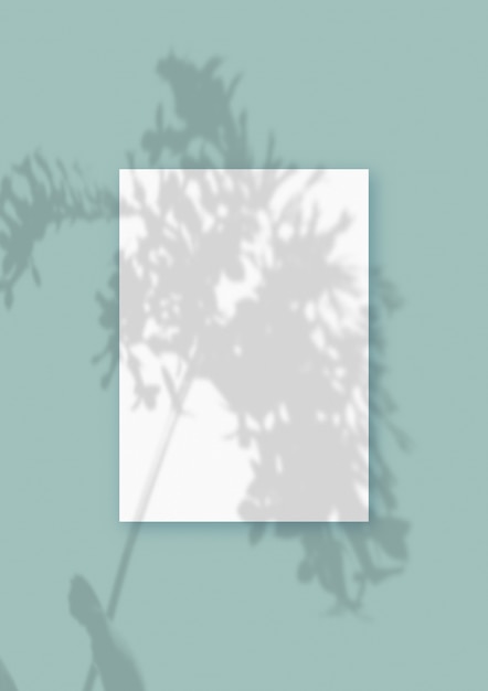 Фото Естественный свет отбрасывает тени от растений на вертикальный лист белого текстурированного формата бумаги, лежащий на зеленом текстурированном фоне. макет.