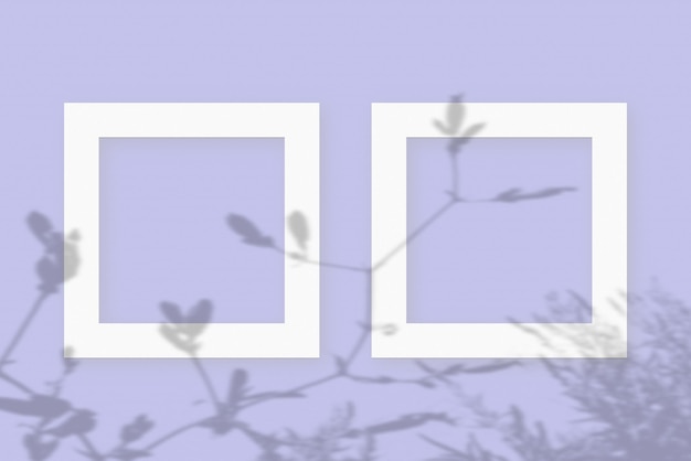 La luce naturale proietta le ombre dei fiori di campo su 2 cornici quadrate di carta bianca testurizzata che giace su uno sfondo viola di facture mock up con una sovrapposizione di ombre vegetali