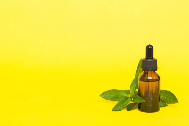 Natural mint essential oil in a glass bottle organic cosmetics with herbal extracts of mint on colored background