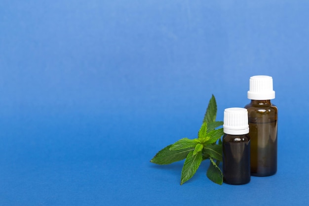 Natural Mint Essential Oil in a Glass Bottle organic cosmetics with herbal extracts of mint on colored background