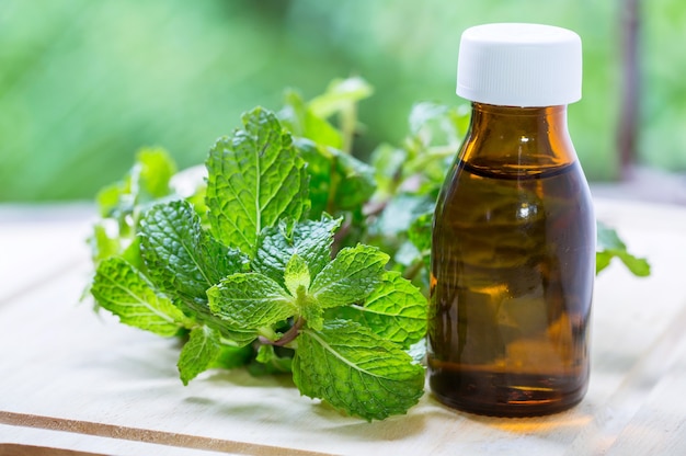 Natural mint essential oil in una bottiglia di vetro con foglie di menta fresca