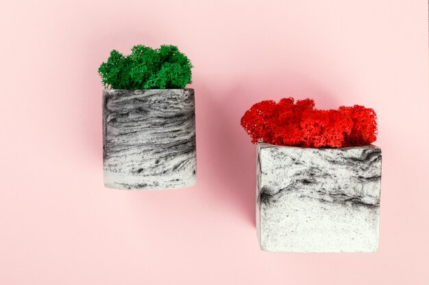 Natural moss stabilized red and green. Flower in pot. Eco design interior