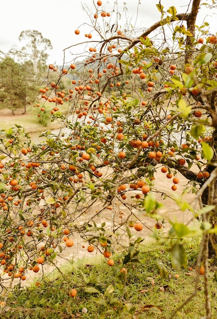 Foto bellezza naturale del paesaggio di montagna viaggi avventura bellissimi paesaggi naturali