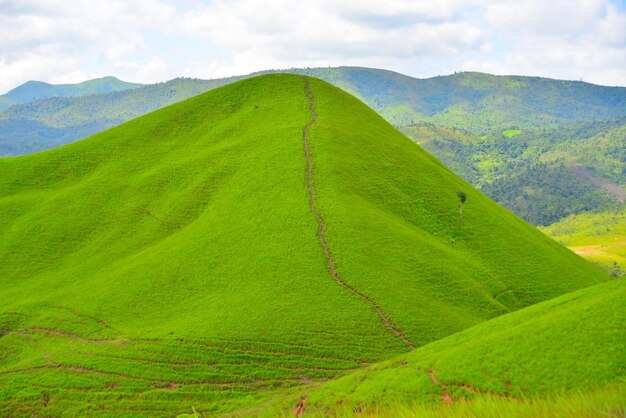 写真 自然な山岳地形 樹木なし 青い空 緑の草 ザイソンブーン州 ラオス人民民主共和国