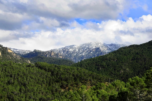 Parco naturale e nazionale dell'andalusia spagna