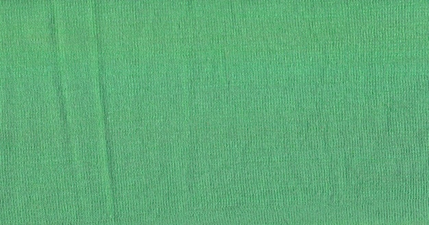 부드러운 스타일의 파란색 녹색 울로 만든 스웨터