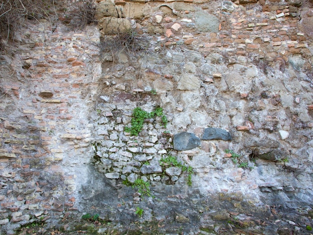 Vecchio muro di pietra naturale con sfondo di piante