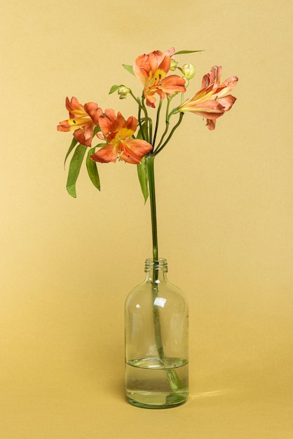 유리 병에 천연 오렌지 Alstroemeria 힙합 꽃