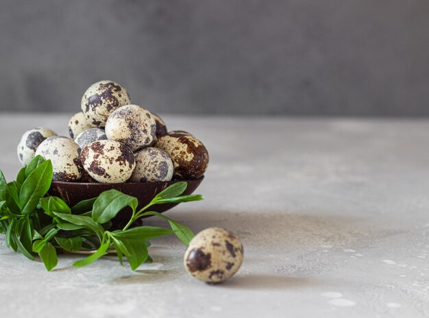 Natural organic quail eggs in a coconut bowl and green leaves