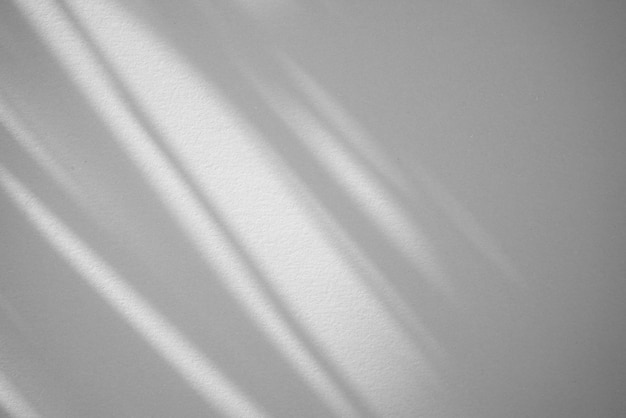 Natural organic shadow from window in room overlay on silver background Light shadow effect