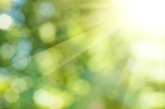 Photo natural outdoors bokeh background  in green and yellow tones with sun rays