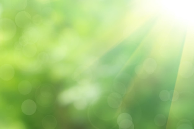 Photo natural outdoors bokeh in green and yellow tones with sun rays