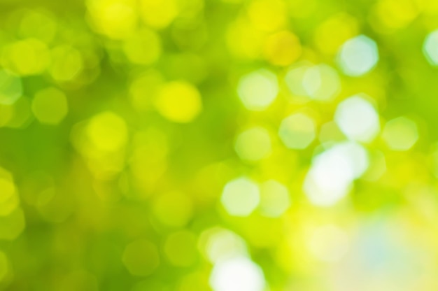 Natural outdoors bokeh  in green and yellow tones