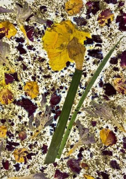 Natural paper background made from dried flowers