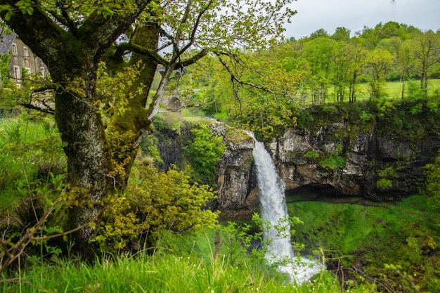 Natural Park of Auvergne Volcanoes