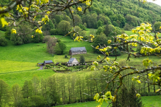 Natural Park of Auvergne Volcanoes