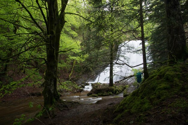 Natural Park of Auvergne Volcanoes