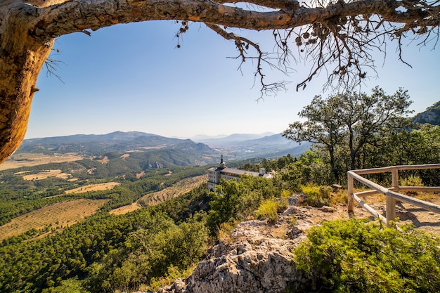 Natural Park of the "Carrascal de la Fuente Roja".