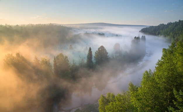 Parco naturale con il sole che splende attraverso la nebbia