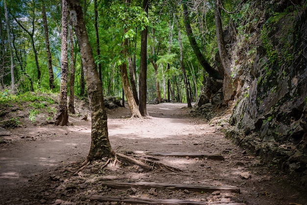 Natural path at the Hellfire Pass Trail