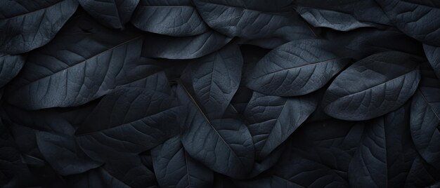 Photo natural pattern dark green leaf texture background