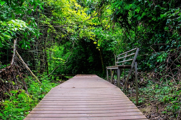 Photo natural pedestrian bridge