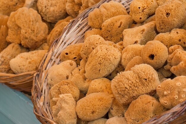 Natural peeling sponges with different shapes.