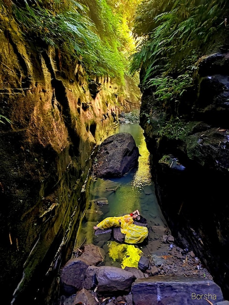 Foto fotografia naturale