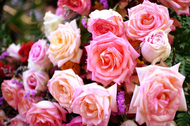 Natural pink roses.