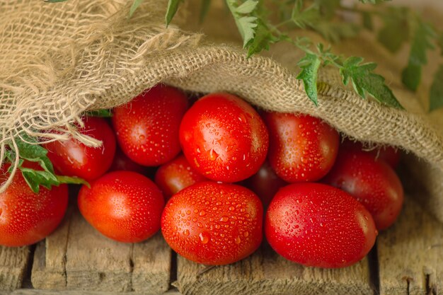 Concetto di prodotto naturale. pomodori prugna lunghi freschi in sacchetto di tela da imballaggio.