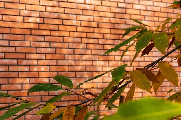 Natural red brick wall free space for design