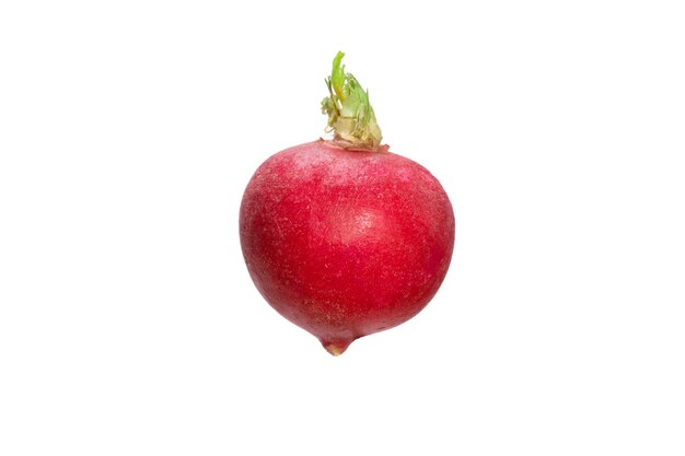 Natural red radish isolated on a white background. High quality photo