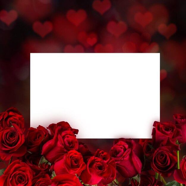 Natural red roses background closeup