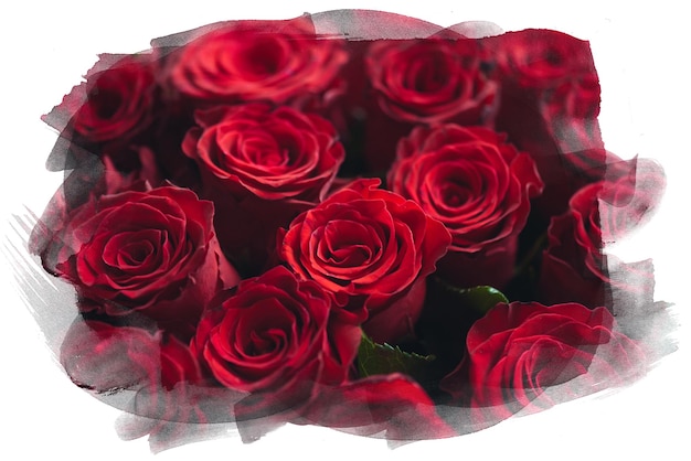 Natural red roses background