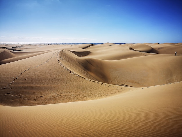 Photo natural reserve of dunes of maspalomas in gran canaria, spain