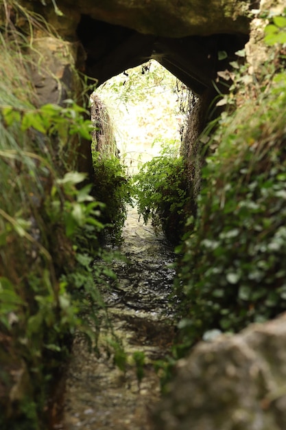 Photo natural river in mariola park alcoy