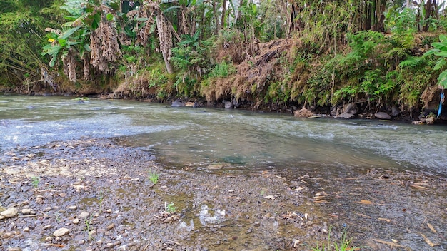 Natural river view in indonesia