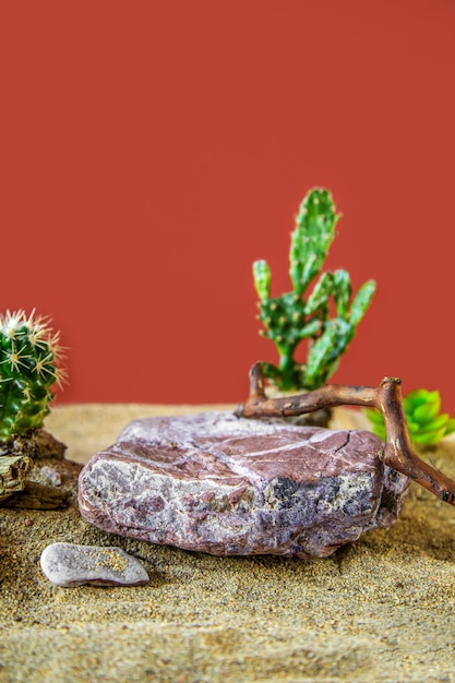 Natural rock podium with cacti and driftwood for product presentation Desert imitation red background