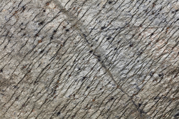 Natural rock, stone background. Detailed