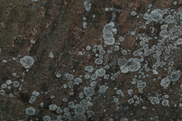 Естественная каменная текстура текстуры старого каменного гранитного мрамора и другого текстурированного каменного песчаника