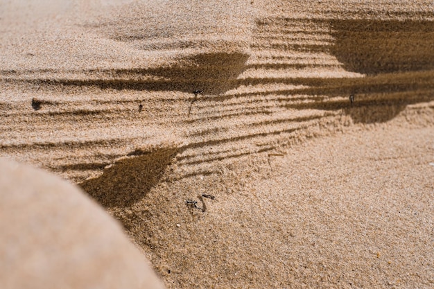 Фоновая стена с текстурой из натурального песчаника, вырезанная на песчаной дюне или песчаном фоне дюн для летнего дизайна или фона
