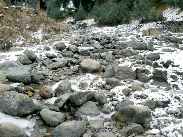 Foto scena naturale della montagna a shimla