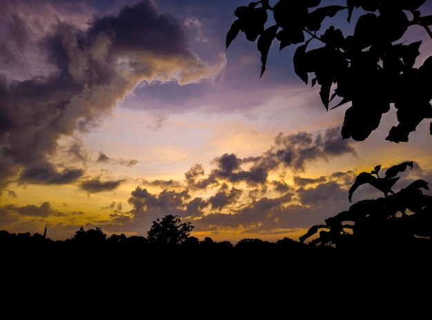 natural scenery in the morning at sunrise