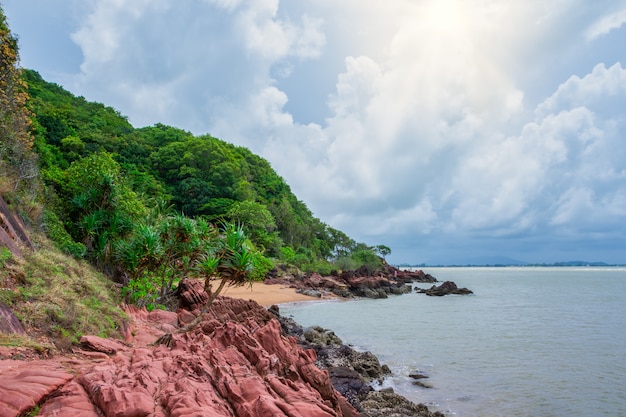 自然の風景、海岸、岩