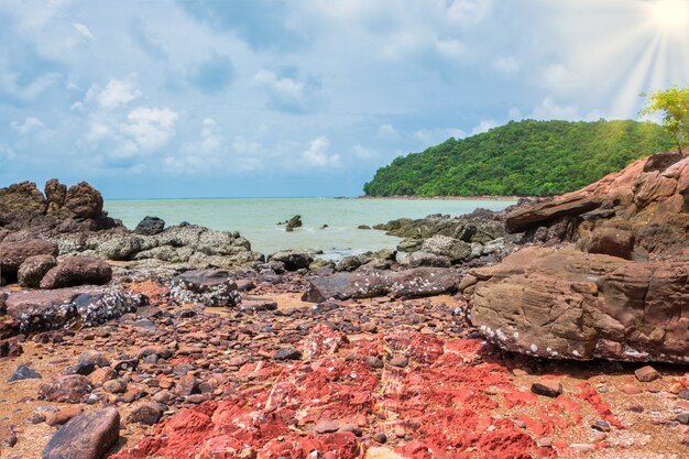 Photo natural scenery, seashore and rocks