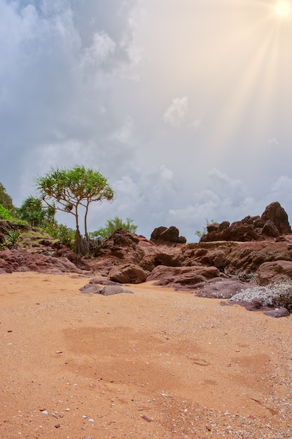 Natural scenery, seashore and rocks