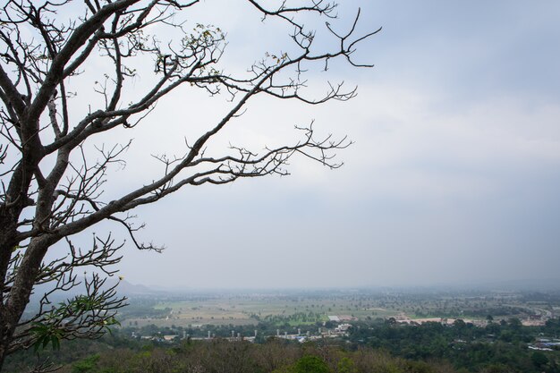 Natural scenery Town