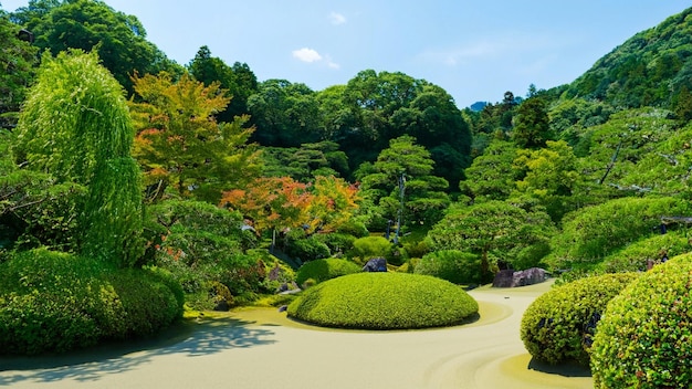 涼しい山や川の自然風景