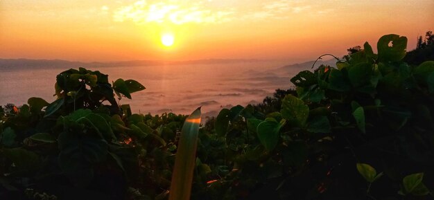 夕日と自然の風景